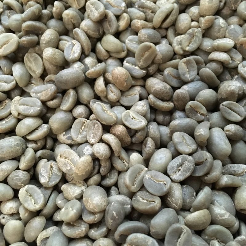 焙煎前のコーヒーの生豆です。このコーヒーは、パプアニューギニアです。